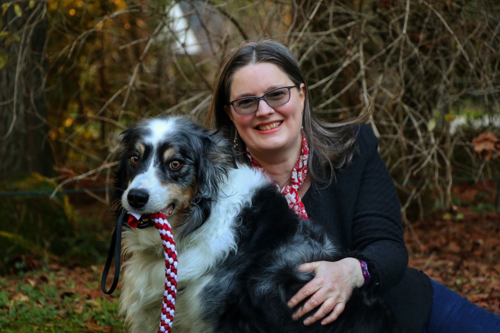 Profile photo of Dr Zazie Todd smiling at the camera with her dog, a tri-coloured Australian Shepared, holding a yellow tug toy and looking at the camera